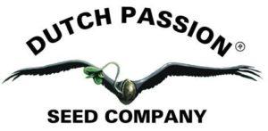 Graines de cannabis de collection à Lannion: logo dutch passion seed représantant un oiseau ailes déployées de face avec une graine der cannabis en germination remplacant la tête