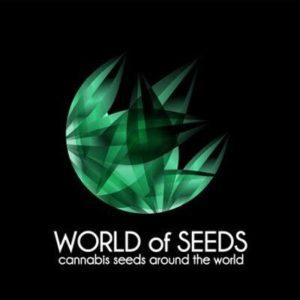 Graines de cannabis de collection à Lannion: logo world of seed avec feuille de cannabis vertes stylisées sur fond noir